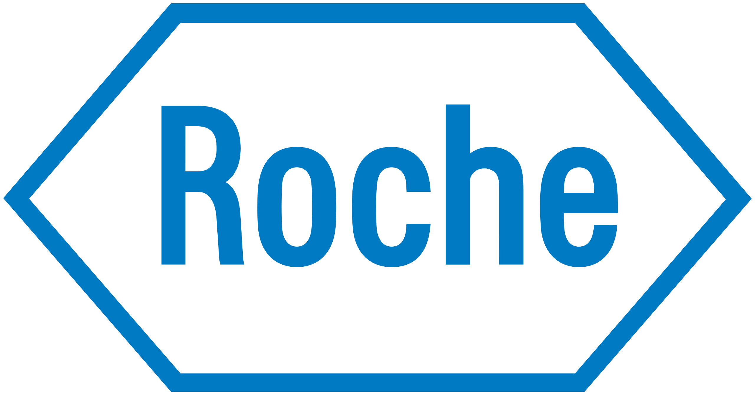 Partner Logo