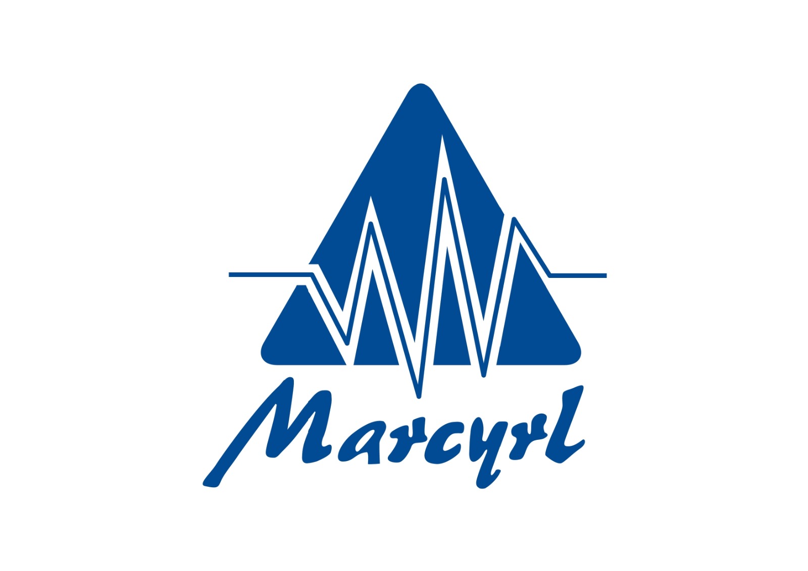 Partner Logo